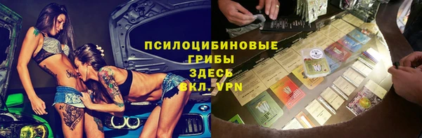 соль ск Арсеньев