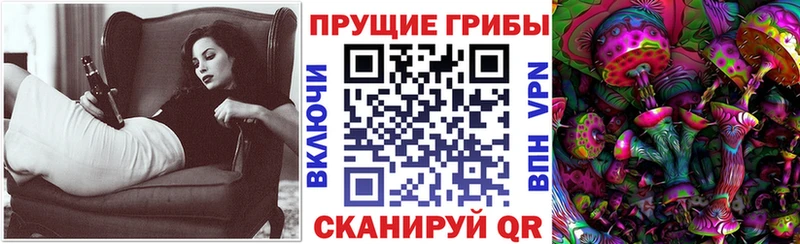 как найти наркотики  Починок  кракен как зайти  Псилоцибиновые грибы прущие грибы 